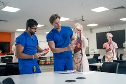 two male students interacting as they look at an anatomical model of the upper body