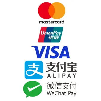 The logos for VISA, Mastercard, Alipay, Wechatpay and Unionpay