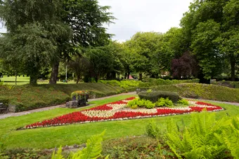 Red flowers and greenery in Ynysangharad War Memorial Park in Pontypridd