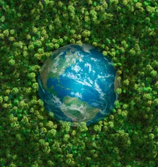 earth surrounded by trees