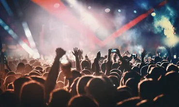 crowd at a music concert