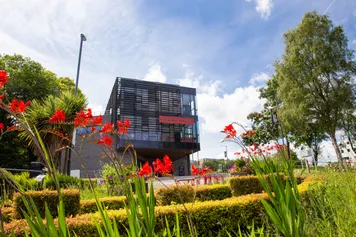 Flowers blooming outside the Student's Union in Treforest