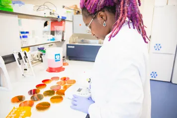 Student taking part in a laboratory experiment