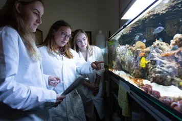 A group of students in lab coats observing fish in a tank in the biology lab.