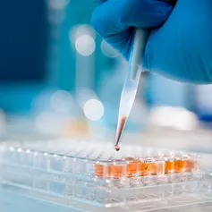 A close up image of a gloved hand injecting liquid into a microtiter plate.
