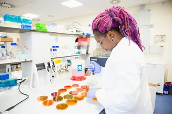 Researcher, Talatu Usar, is working in a lab.