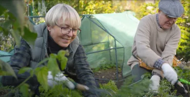 two people gardening