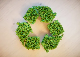 gren recycling logo made of plants on a wooden table