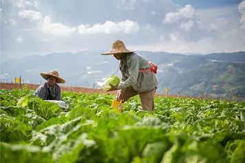 Two farmers outside in Malaysia farming their crops