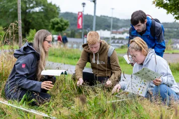 A group of students studying while sat in the grass