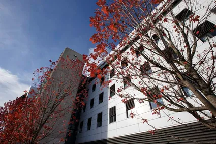 Cardiff Campus in the autumn