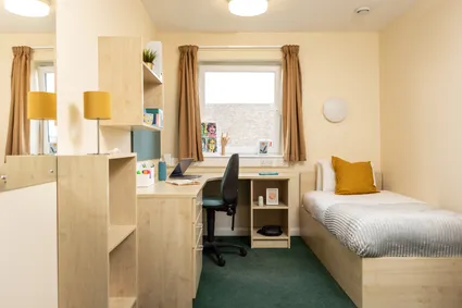 Bronze room with single bed and desk