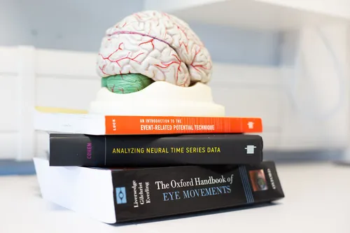 A stack of Psychology textbooks with a model brain sitting on top