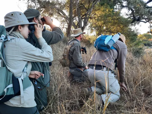 A group of international wildlife students crouch in long grass while looking through binoculars into the distance while on a field trip in South Africa