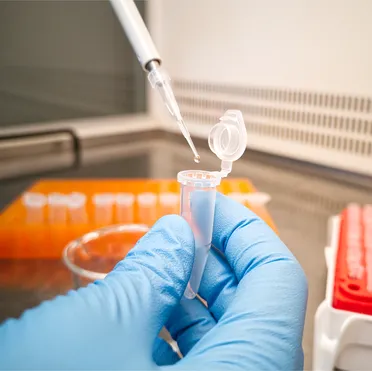 A close up of a scientist wearing a blue glove using a pipette to add liquid into a test tube