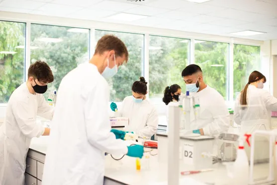 Students dressed in white laboratory coats, blue latex gloves and face coverings conduct medical science experiments in a USW lab at Glyntaff Campus
