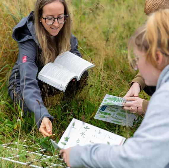 Two environmental science students analysing plants in a field