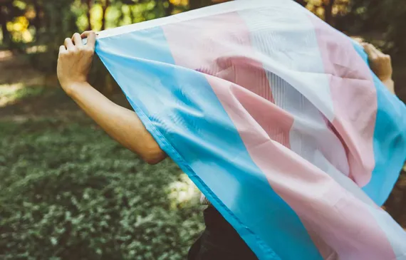 A person walking while holding a large transgender flag up behind them through a park