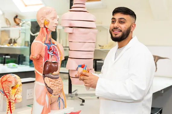 A medical sciences student stood in a lab with an anatomical model.