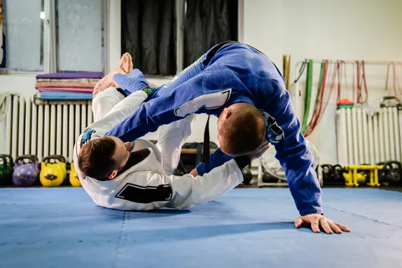 Jiu-Jitsu Brasilaidd