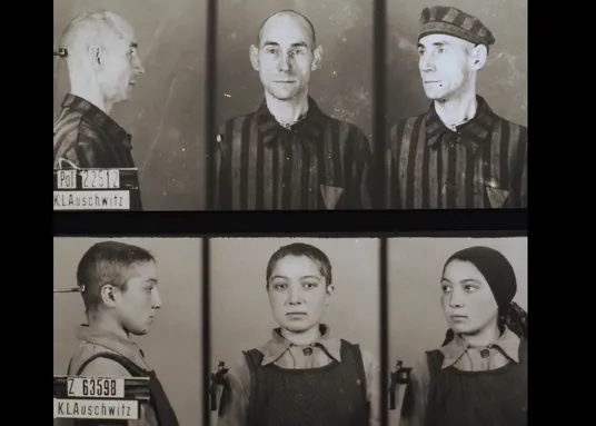 Carcharorion Auschwitz