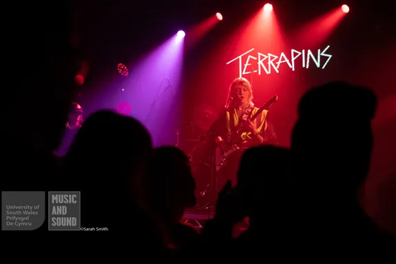 https://uswfoxtail.blob.core.windows.net/foxtail-prod-uploads/original_images/Immersed_Festival_-_Terrapins.jpg