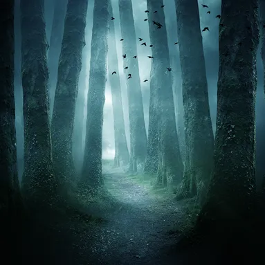Tree trunks in a dark forest with birds flying above