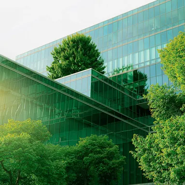 The outside of a building surrounded by trees