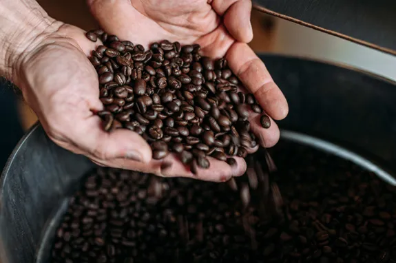 Arabica Coffee Beans