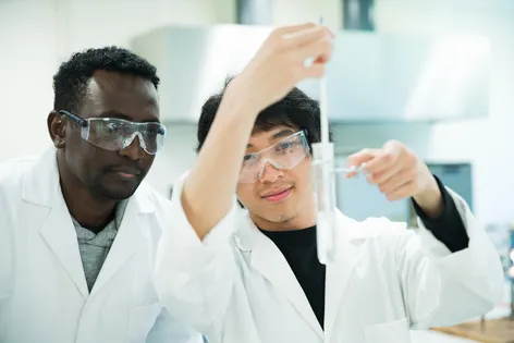 Chemistry students examining a test tube