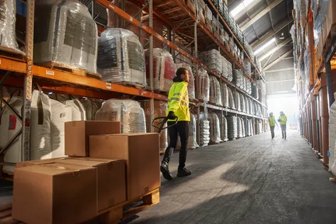 Logistics and supply chain management
