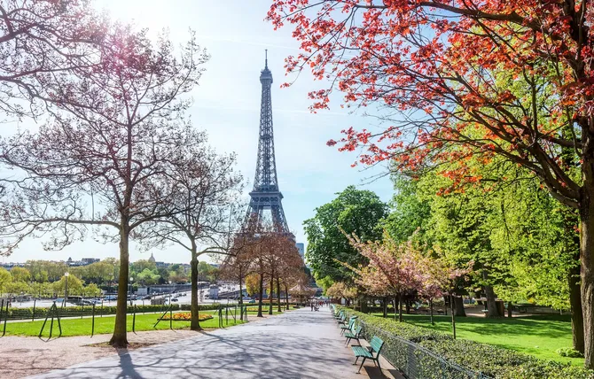 A path through trees and grass heading to the Eiffel Tower against a blue sky