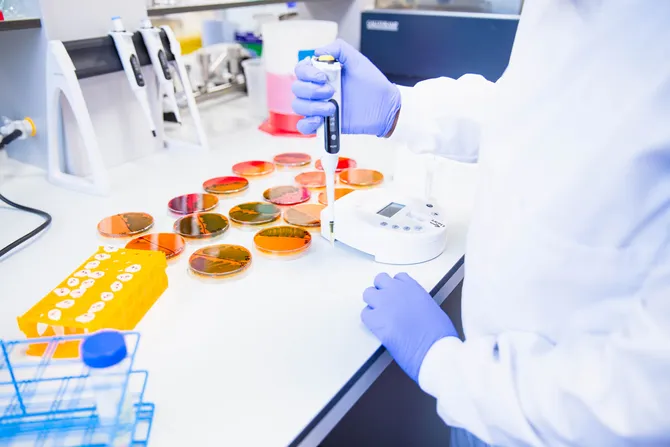 Scientist conducting a lab experiment.
