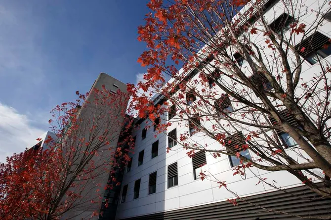 Cardiff Campus in the autumn