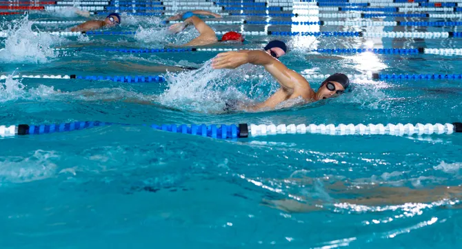 People swimming in lanes in a swimming pool.