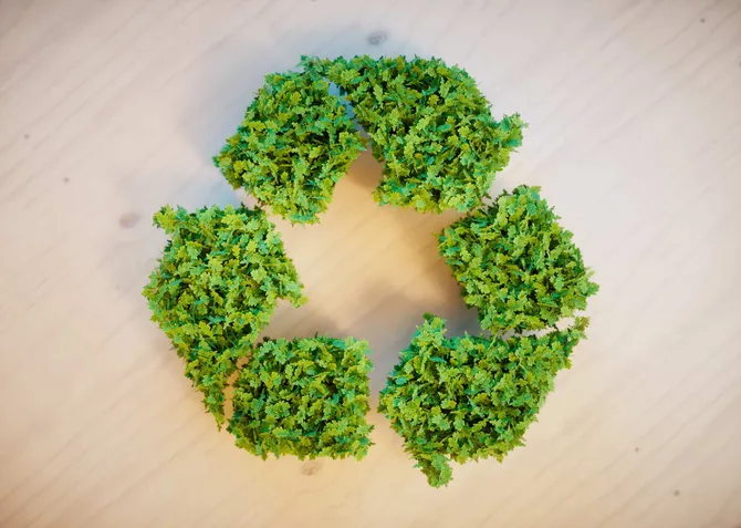 gren recycling logo made of plants on a wooden table