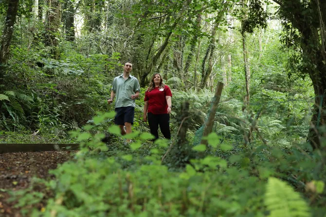 Students walking along the woodland trail at Treforest Campus