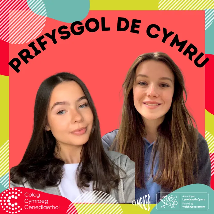 Coleg Cymraeg HE Ambassadors.png