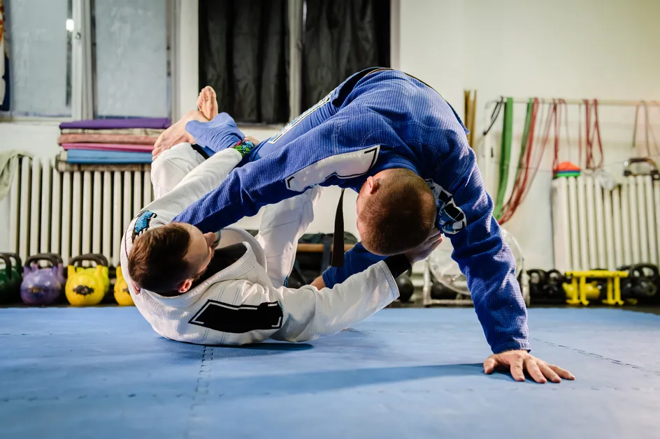 Jiu-Jitsu Brasilaidd