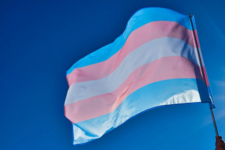 https://uswfoxtail.blob.core.windows.net/foxtail-prod-uploads/original_images/Trans_flag.jpg