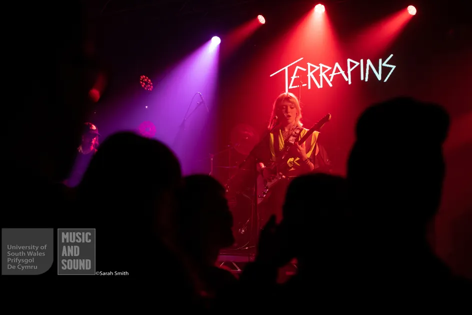 https://uswfoxtail.blob.core.windows.net/foxtail-prod-uploads/original_images/Immersed_Festival_-_Terrapins.jpg
