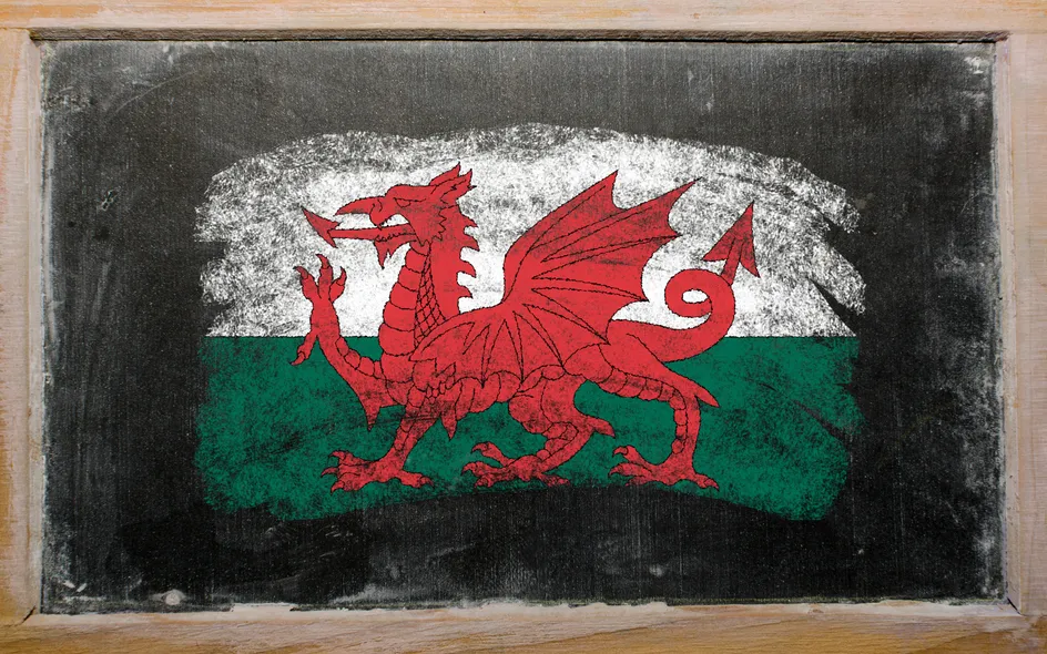 https://uswfoxtail.blob.core.windows.net/foxtail-prod-uploads/original_images/learning_Welsh.jpg