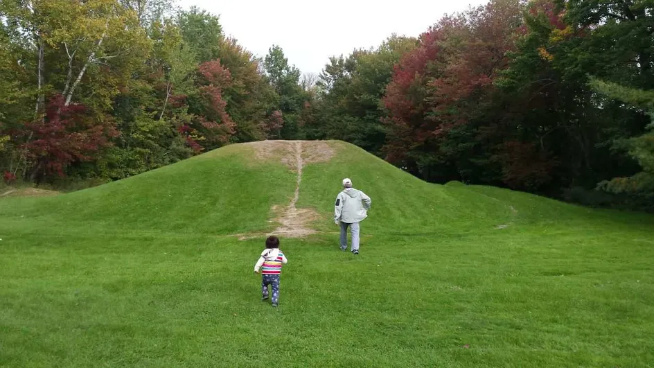 A child and an adult playing in the park