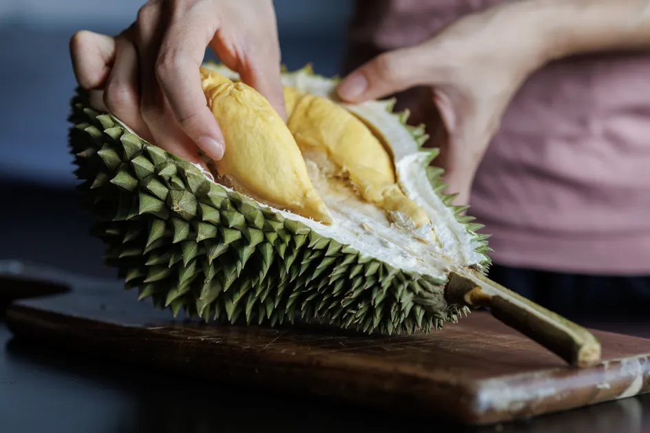 A durian fruit with the external opened and the interior of the fruit visible