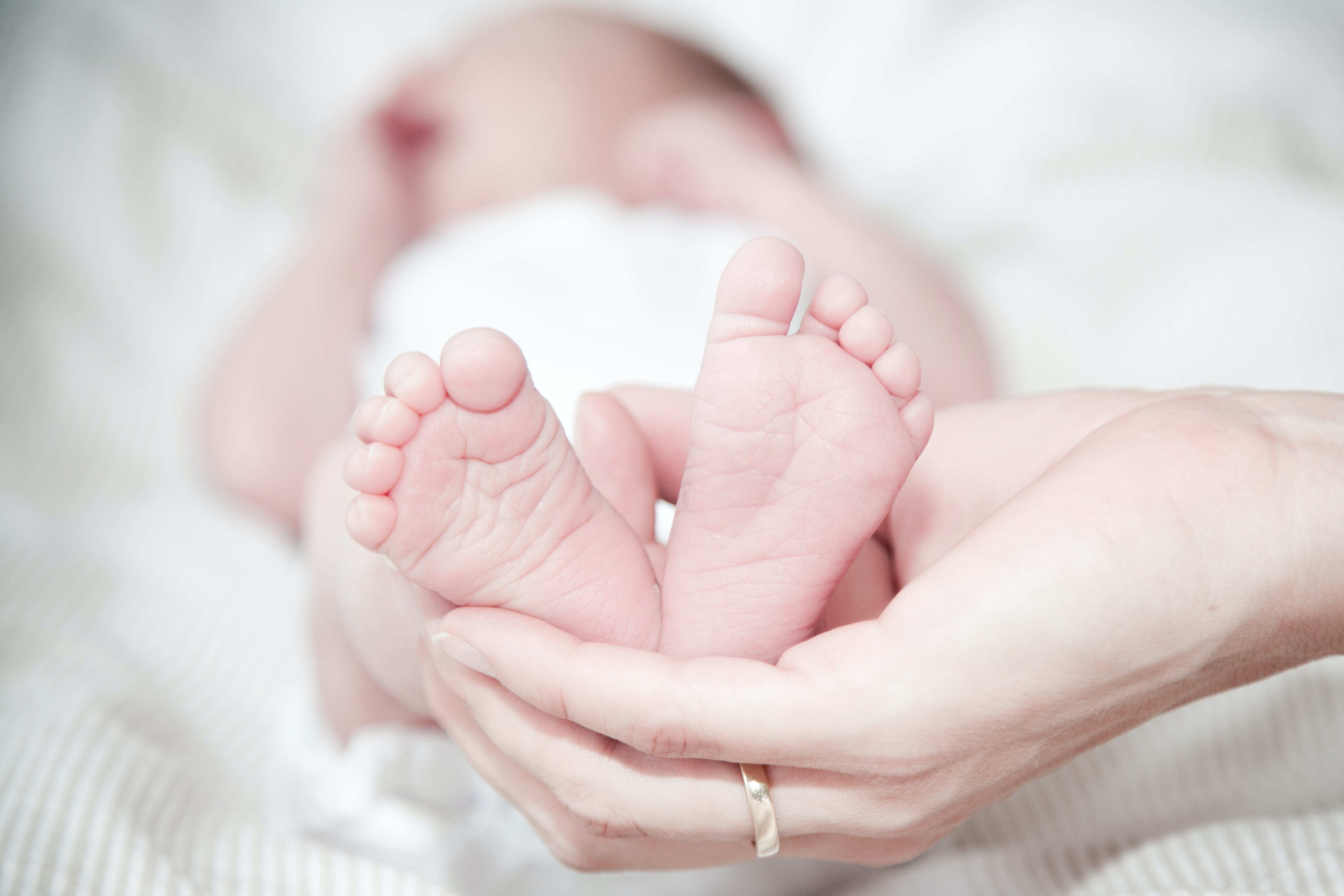 person gently holding new born baby feet