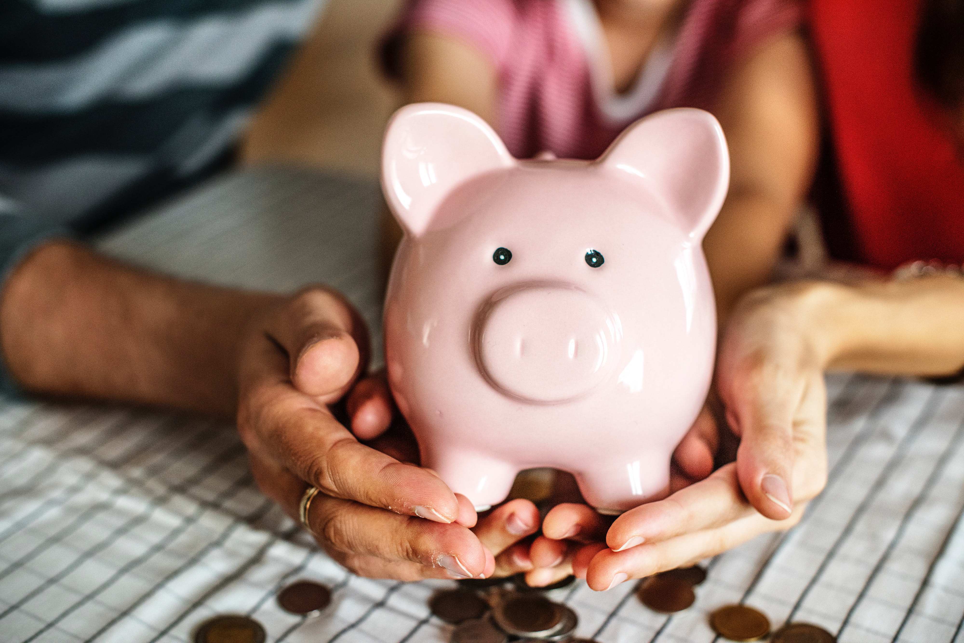 two people holding piggy bank in hands