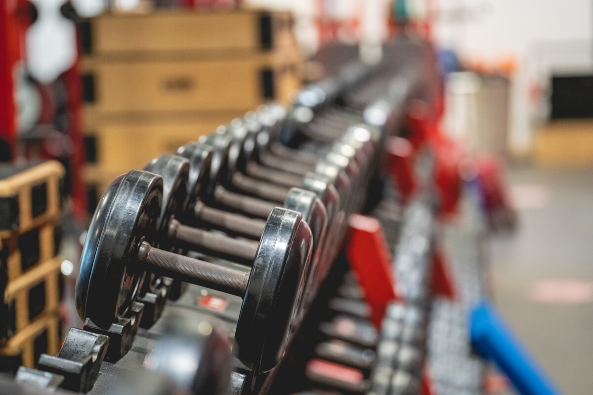 An abstract photograph of a rack of dumbells.