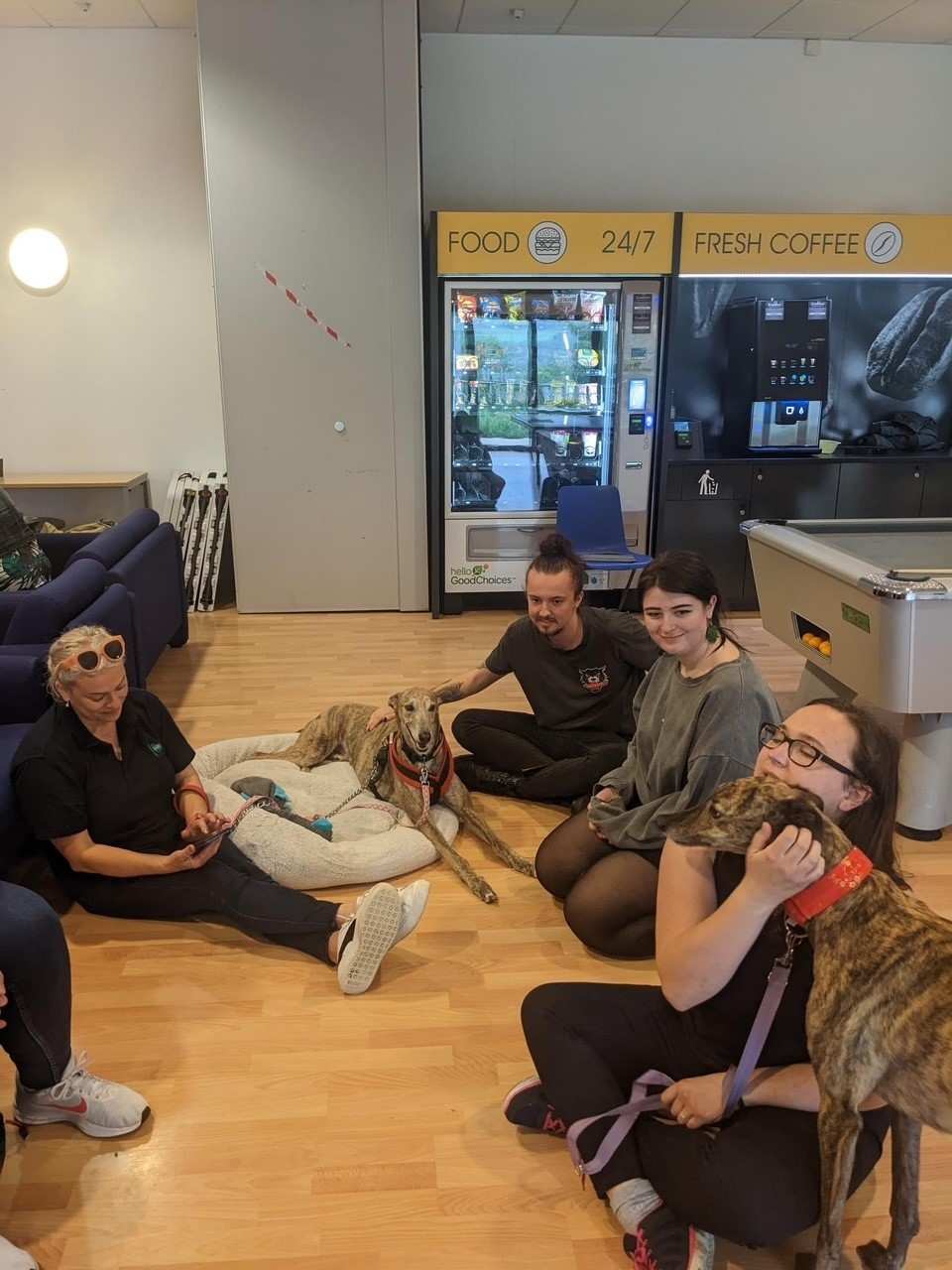 5 members of the resilife programme sat on the floor with 2 therapy dogs