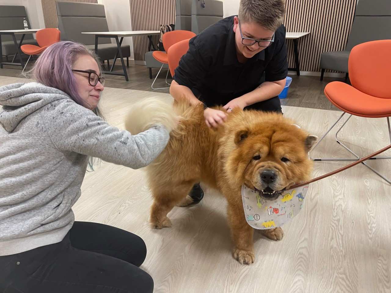 two members of the resilife programme crouched down next to a therapy dog. The dog is tan colour and wearing a grey bandanna