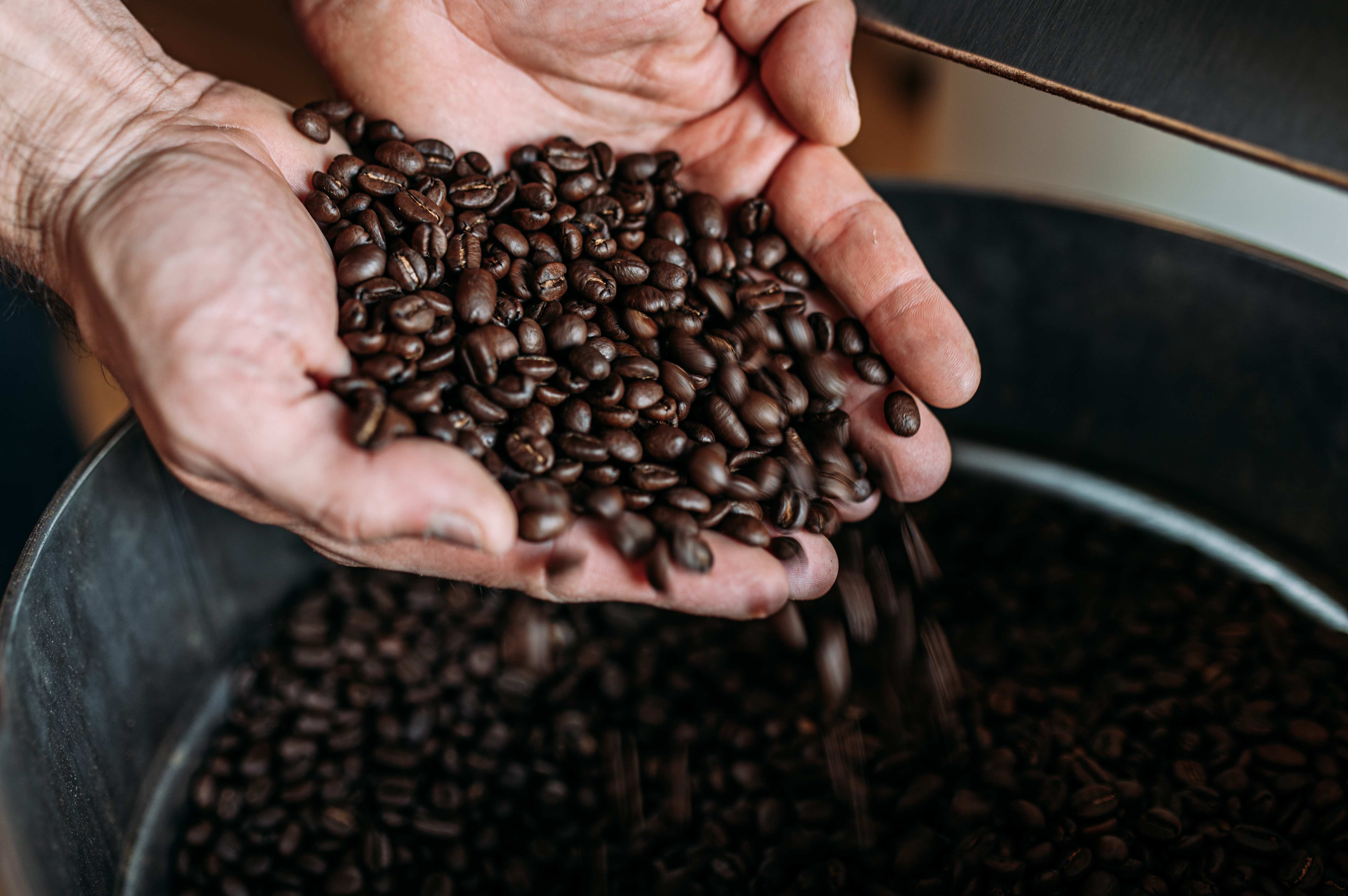 Arabica Coffee Beans